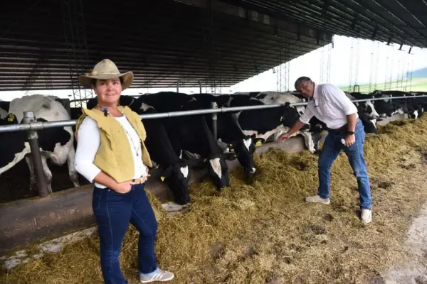 Ordeñar con tecnología: leche, inteligencia artificial y un tambo robotizado único