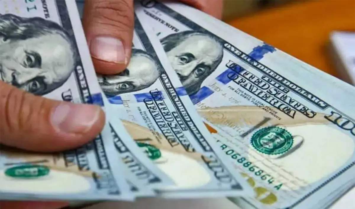 BALANCE. Febrero cierra con un saldo de apreciación del peso, con el dólar minorista bajando $ 75 o un 5,1% en el mes.