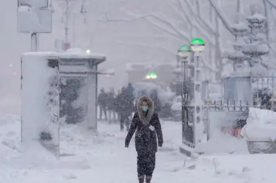 Cierran comercios y suspenden vuelos por la tormenta de nieve en Estados Unidos