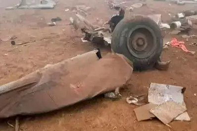 Un perrito fue el único sobreviviente de la caída de un helicóptero en el que murieron 15 personas en Perú