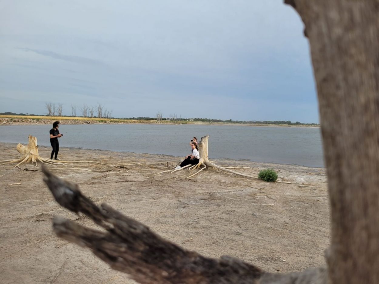 ÁRBOLES. La inundación también mató a los árboles de la ribera.