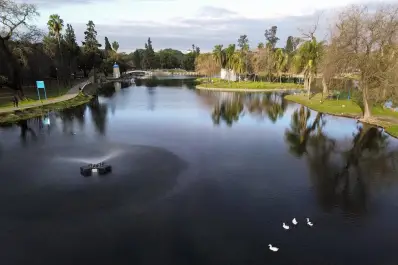 La especies poco conocidas del parque 9 de Julio: mariposas raras y helechos urbanos en pleno corazón de Tucumán