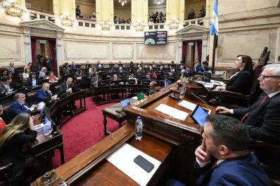 El Senado sancionó la ley que baja la edad de imputabilidad a los 14 años