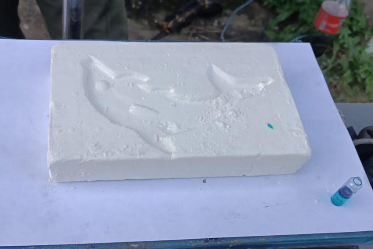 Drogas, armas y sellos de delfín: cómo operaba la banda que ocultaba en neumáticos un cargamento de cocaína valuado en 6 millones de dólares