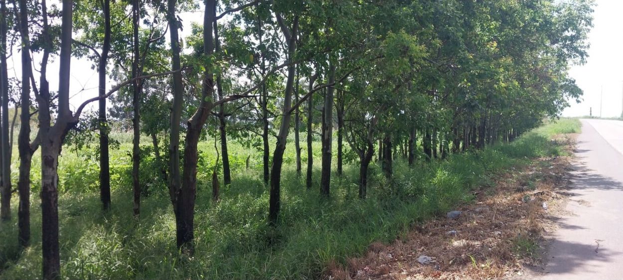 A LA VERA DE LA RUTA 302. A pocos metros de allí se produjo el hallazgo que estremeció a la provincia.