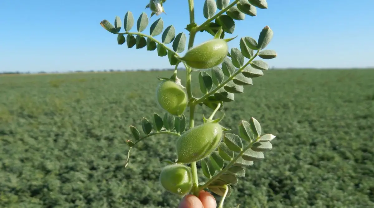 EN NÚMEROS. Se registraron más de 160 productos con un destacado incremento en cantidad de exportaciones.