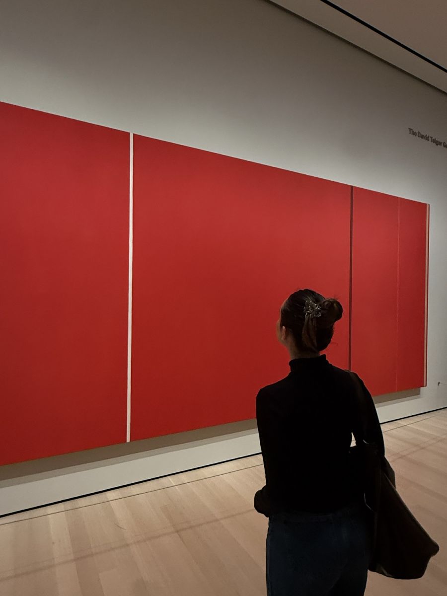 Cómo el MoMA construyó nuestra forma de mirar