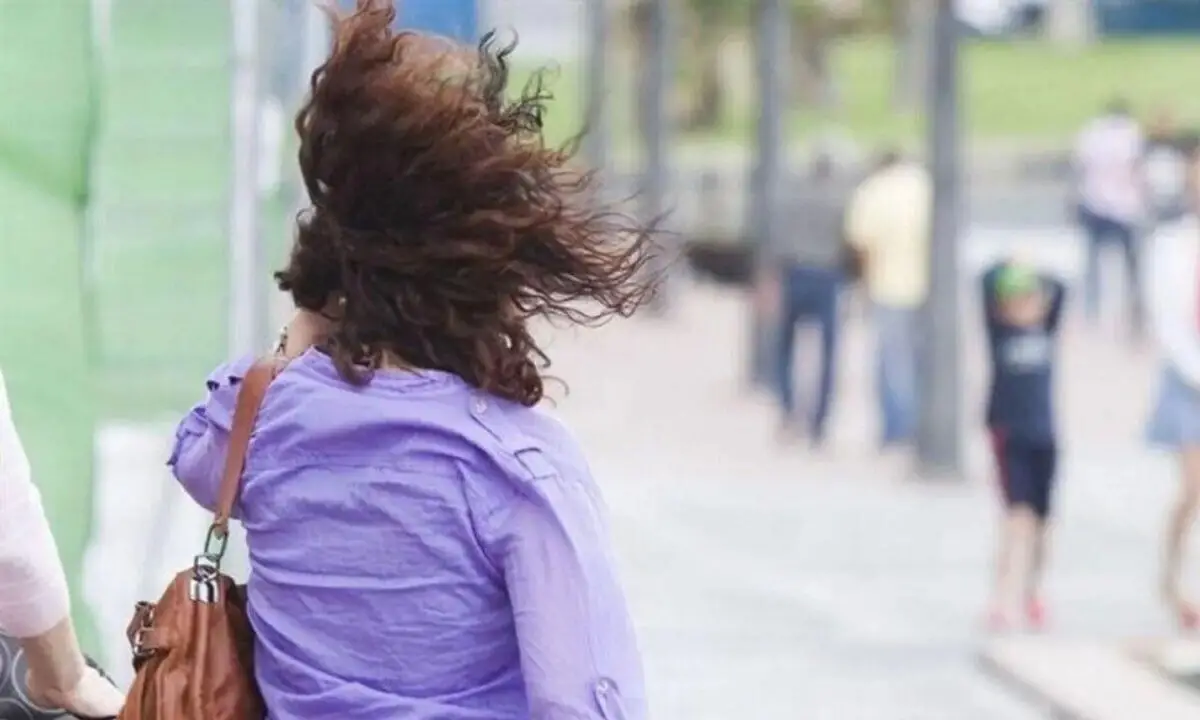 Alerta amarilla por vientos en varias provincias del país