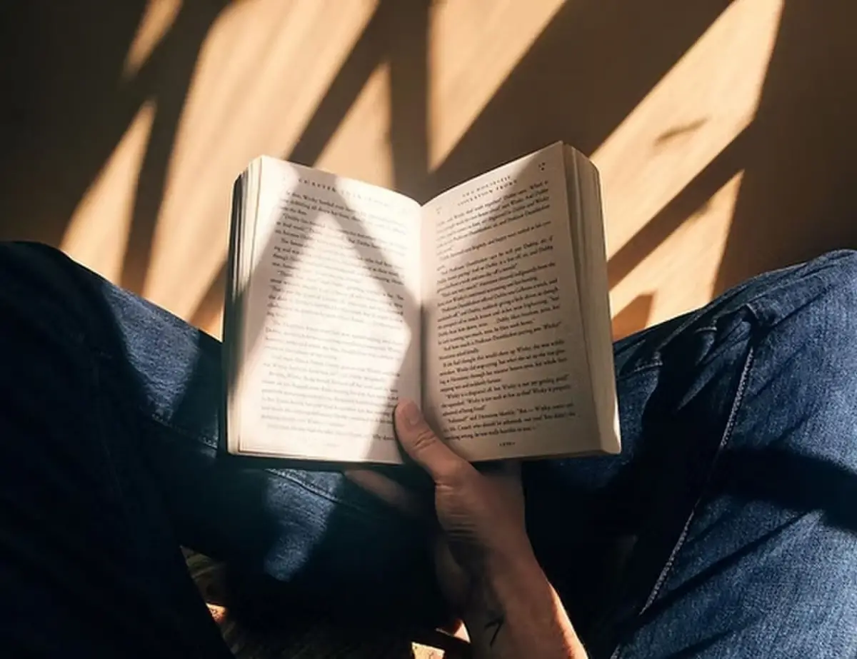 Profesores de lectura