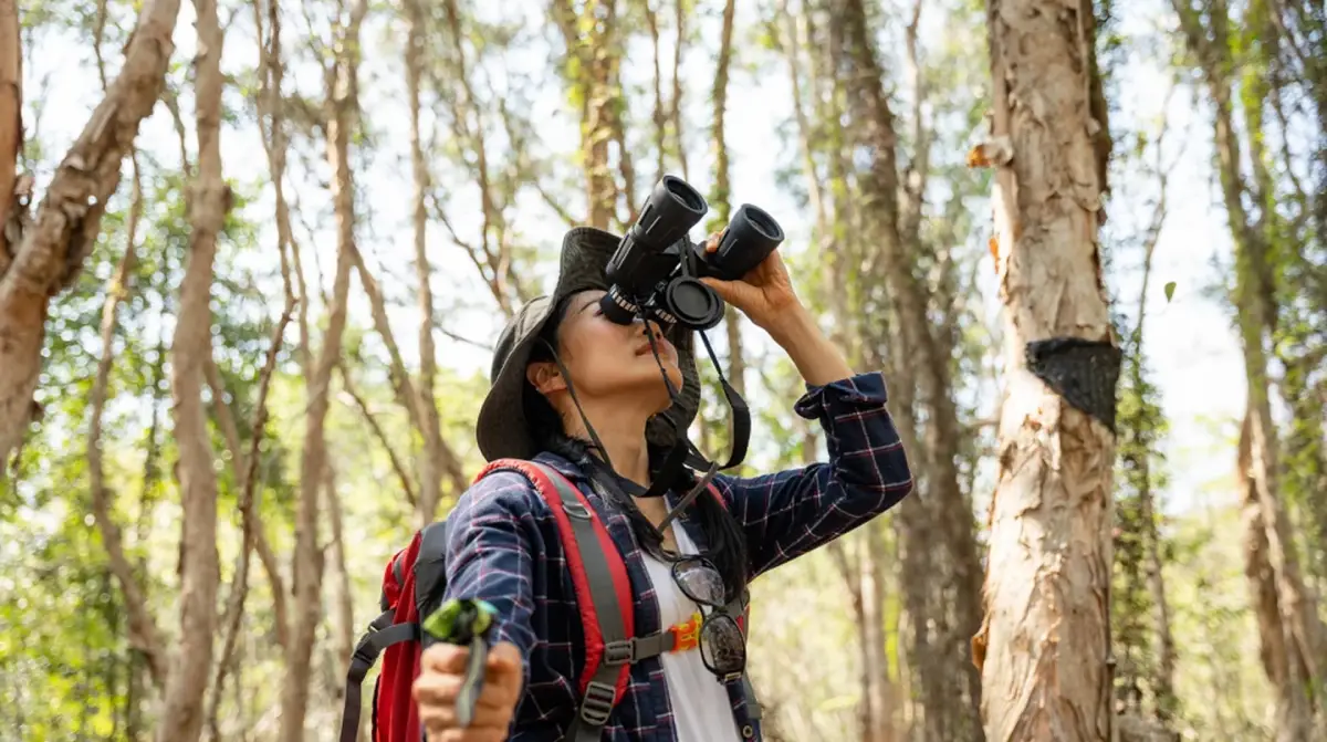 Los escáneres revelaron que los cerebros de los observadores de aves expertos eran más densos en áreas asociadas con procesos que incluyen la memoria de trabajo, la conciencia espacial y el reconocimiento de objetos. Imágenes Getty/NBC News