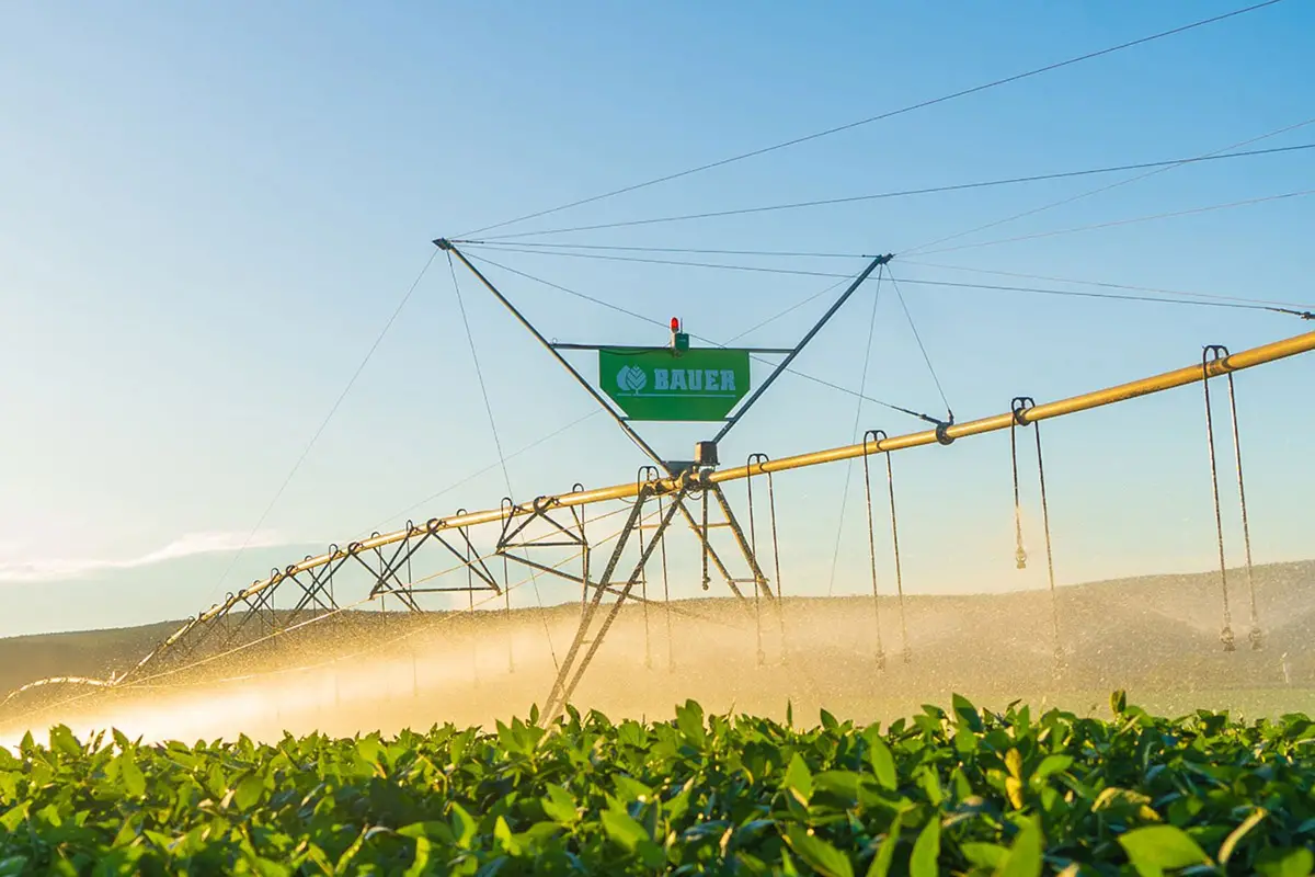 Criolani Bauer crece en el país: nueva sucursal en Rosario, Expoagro 2026 y expansión en Tucumán