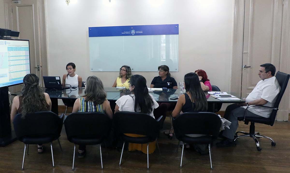 Tucumán confirmó el primer caso de fiebre chikungunya y analizan dos sospechas más