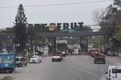 La falta de producción local disparó los precios de hortalizas en Tucumán