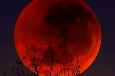 Luna de Sangre 2026: cómo afecta el eclipse a cada uno de los signos del zodíaco