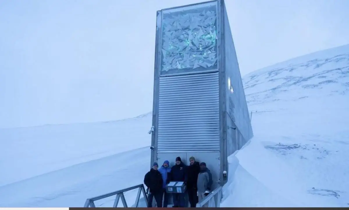 LLEGADA. El equipo que trasladó las semillas de olivo inmortalizó el momenti en la puerta de la bóveda.