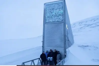 Si hay una amenaza planetaria, el mundo no se quedará sin aceite de oliva