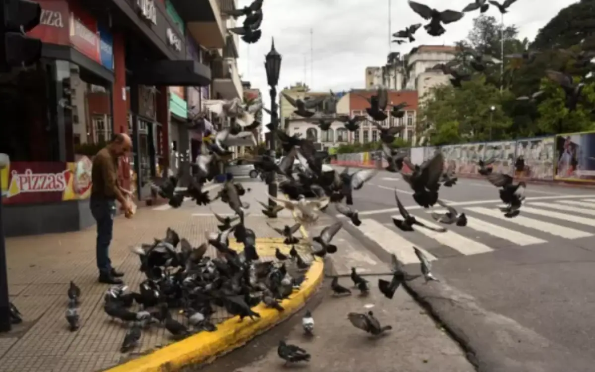 PUNTO PREDILECTO. Las palomas copan la plaza Independencia y sus alrededores.