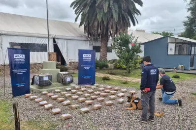 Intentaron pasar más de 50 kilos de marihuana ocultos en encomiendas, pero fueron descubiertos con un escáner