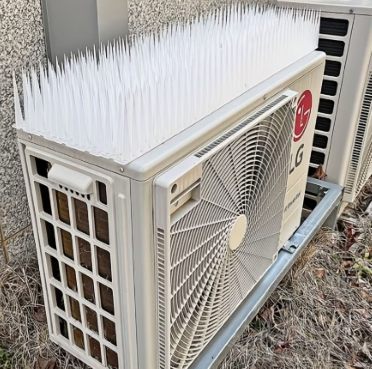 EVOLUCIONAN. Las púas antipájaros ahora también se fabrican en plástico flexible para que no herir a los animales.