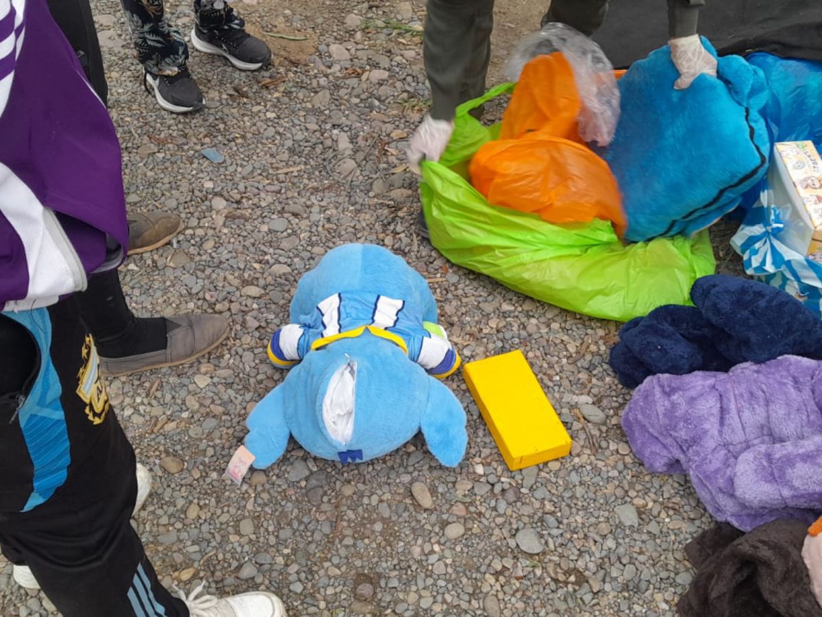 Insólito hallazgo en Salta: llevaba cocaína escondida en un peluche y terminó detenida