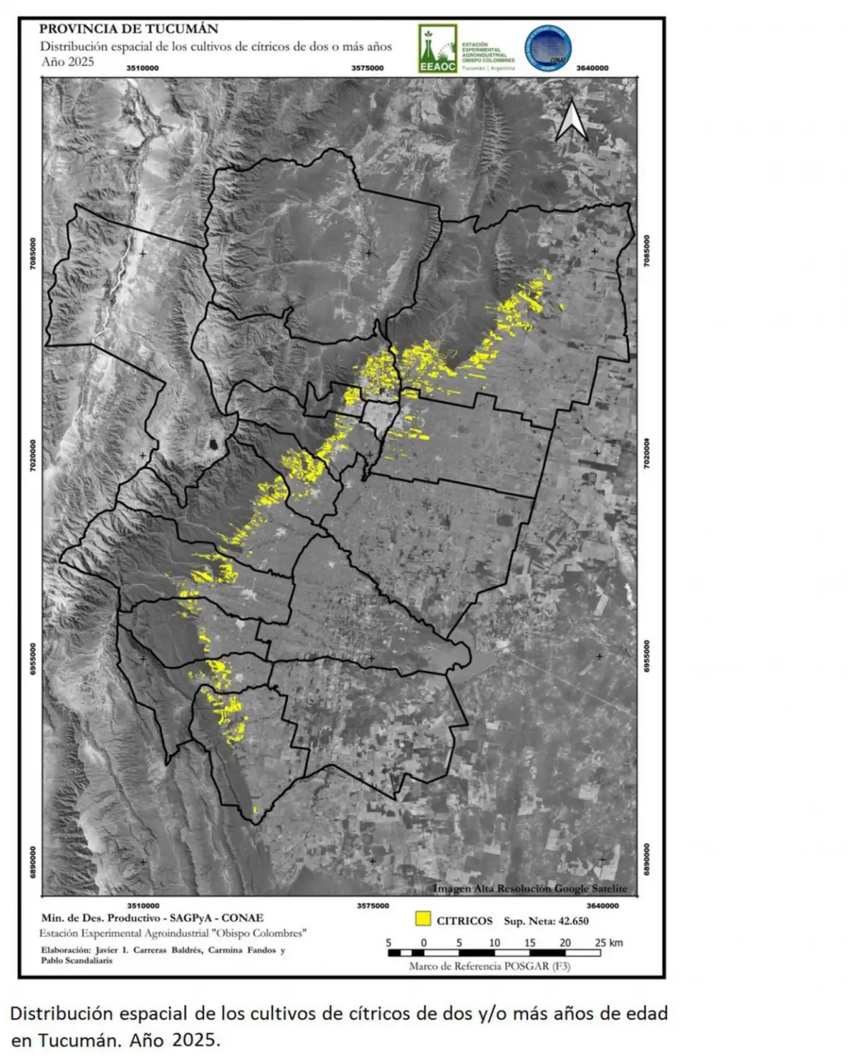 Se busca conocer la superficie destinada al citrus en Tucumán