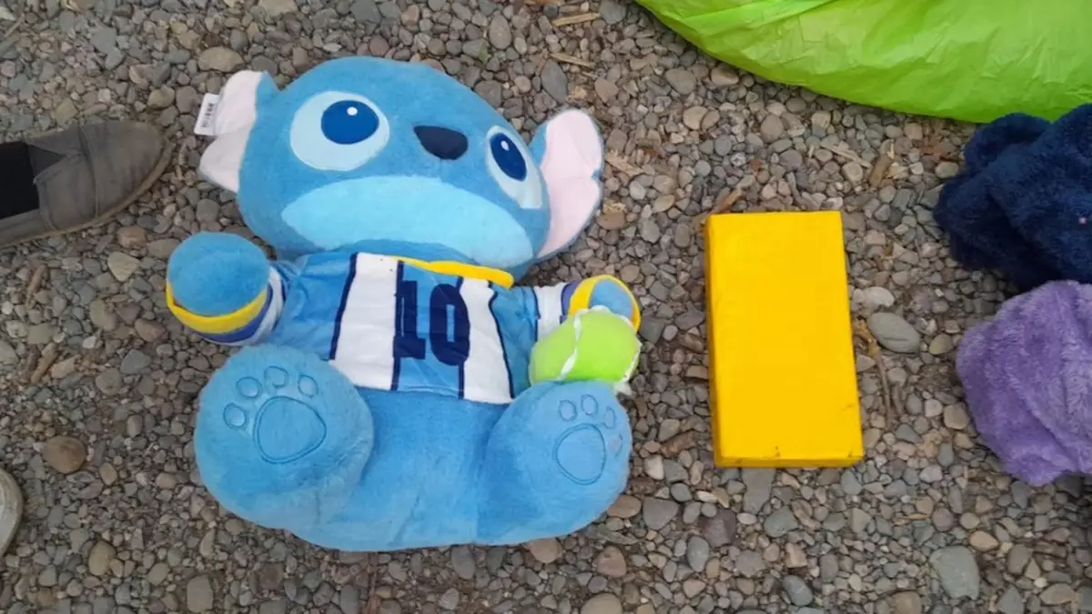 Salta: una mujer llevaba más de un kilo de cocaína oculto dentro de un peluche