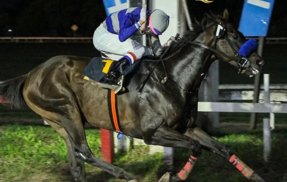 Show Goes On se perfila como la gran figura de la jornada turfística