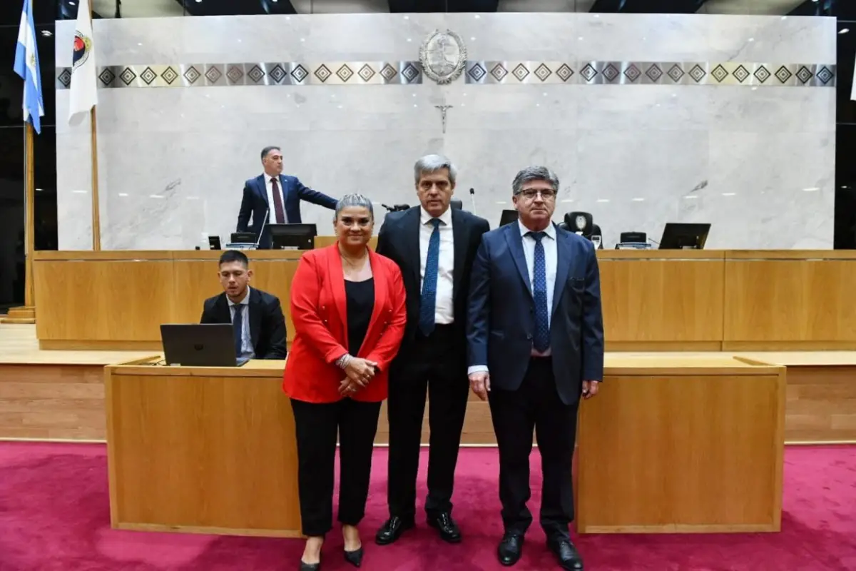 TERNA. Fernández tuvo 38 votos. 