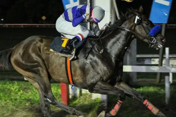 Show Goes On se perfila como la gran figura de la jornada turfística