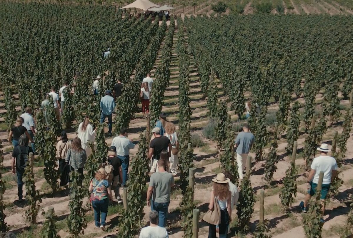 Vino, gastronomía, cultura y música: La Vendimia de El Bayeh se celebra en la Quebrada de Humahuaca