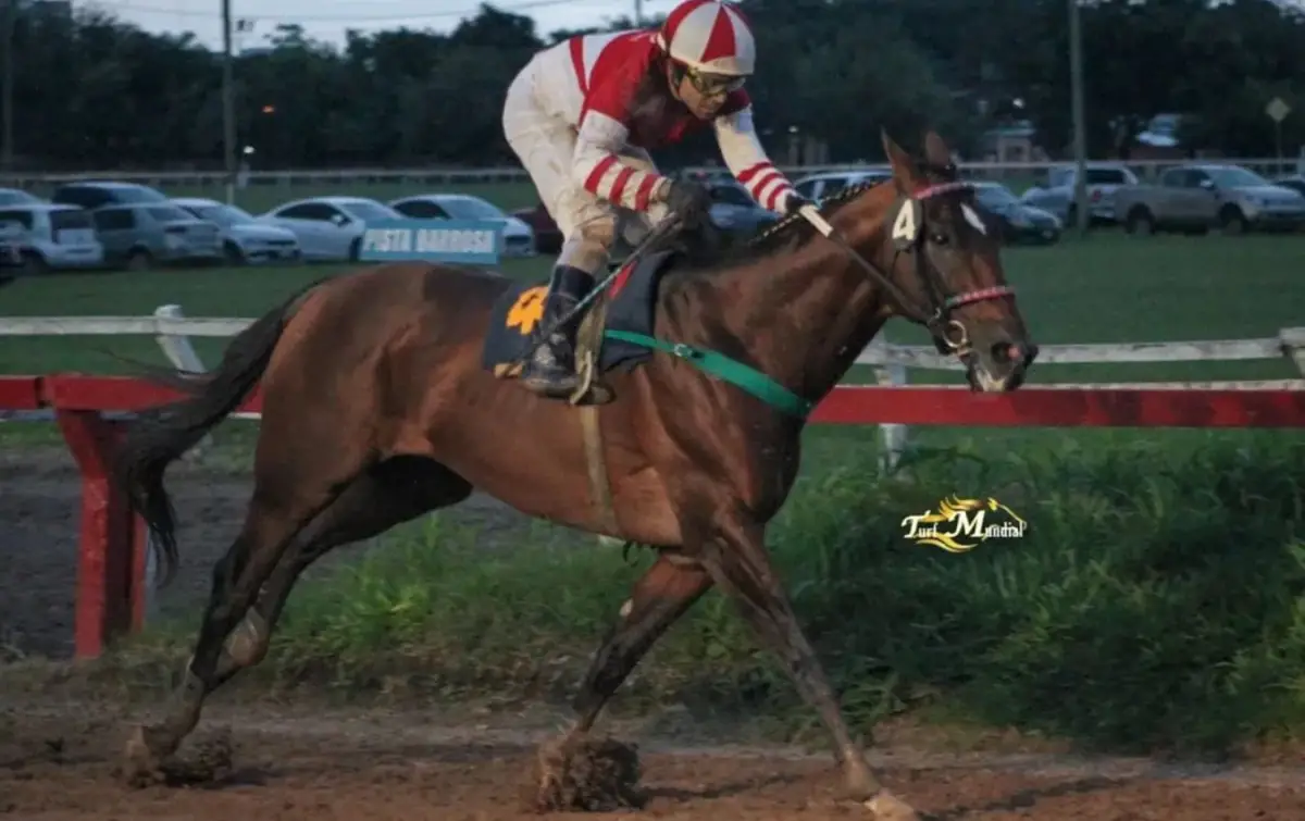 RESULTÓ IMPARABLE. Bequepingo consiguió un triunfo contundente en el especial “Día Internacional de la Mujer”.