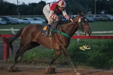Confirmó su jerarquía con un triunfo aplastante en el turf local