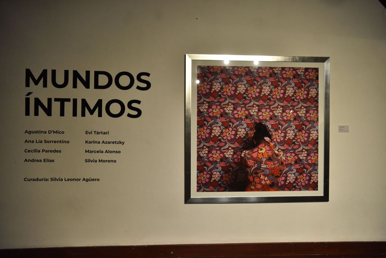 “MEDITATIVE MERMAID”. Donada por la artista peruana Cecilia Paredes.