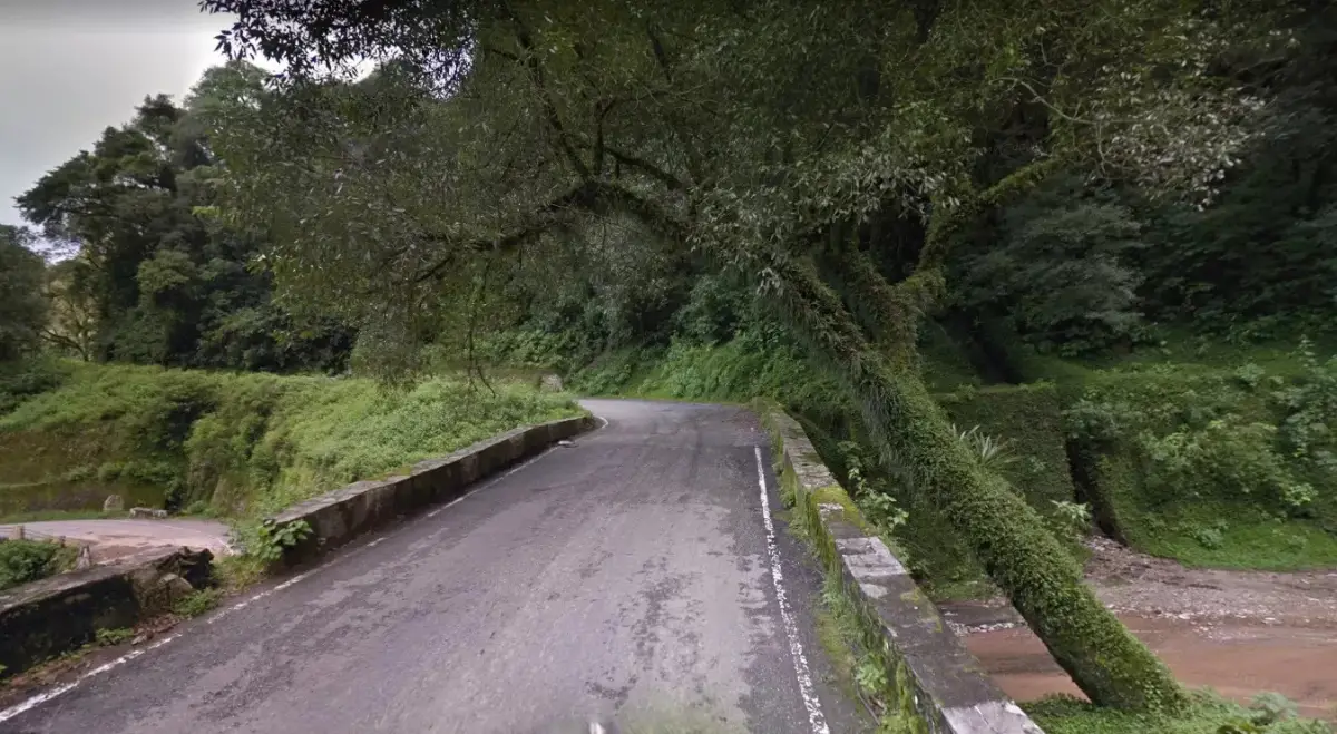 RUTA 338. Recomiendan tener precaución por la caída de un árbol.