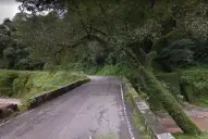 Cortes por caídas de árboles: cuál es el estado de las rutas en Tucumán tras las intensas lluvias