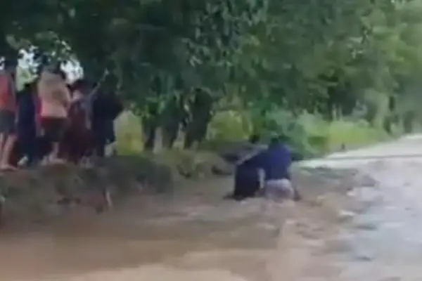 Cómo ayudar a los afectados por las inundaciones en Tucumán: campañas y puntos de donación