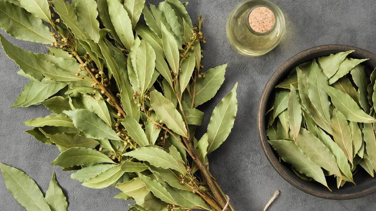Este electrodoméstico se limpia casi solo si colocás laurel en su interior