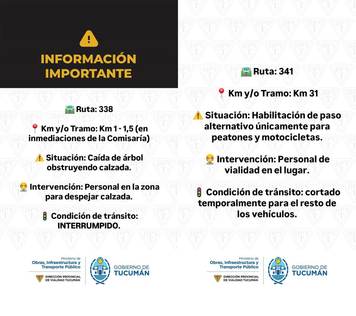 Temporal en Tucumán: hay varias rutas con cortes por derrumbes, árboles caídos y agua en la calzada