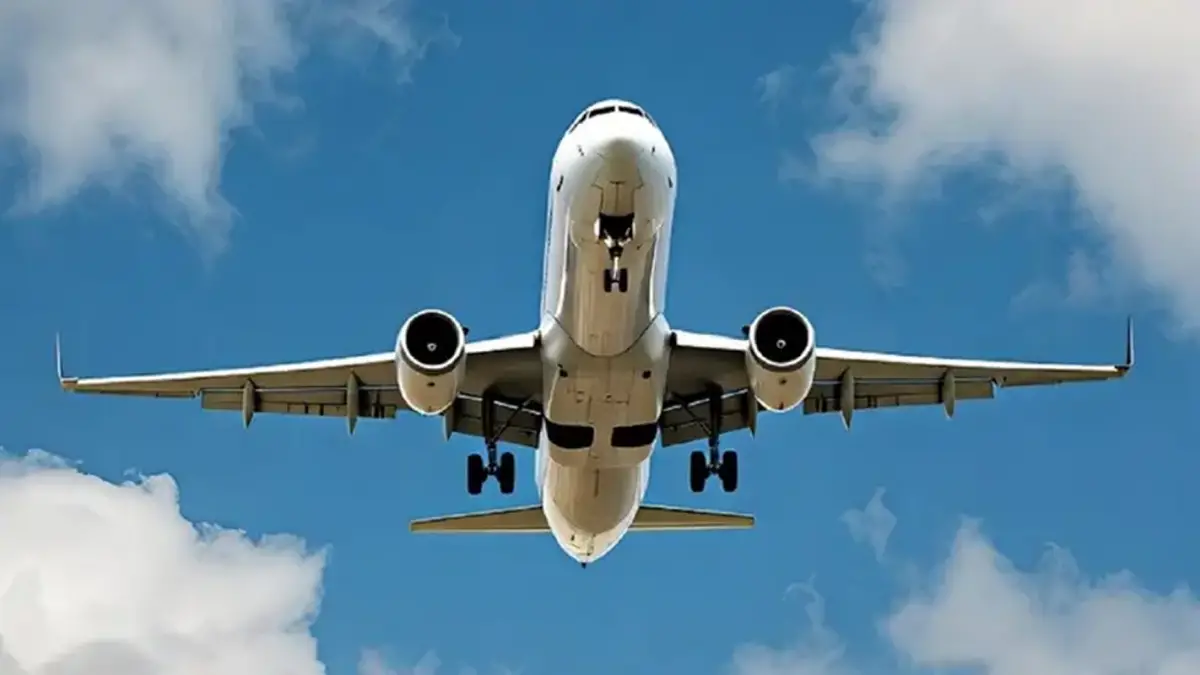 La ciencia explica por que el vuelo más inestable del mundo pasa por Argentina