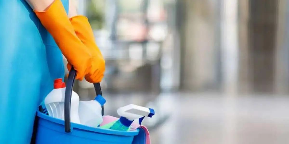 El Gobierno oficializó este jueves el aumento acordado días atrás para el personal doméstico.