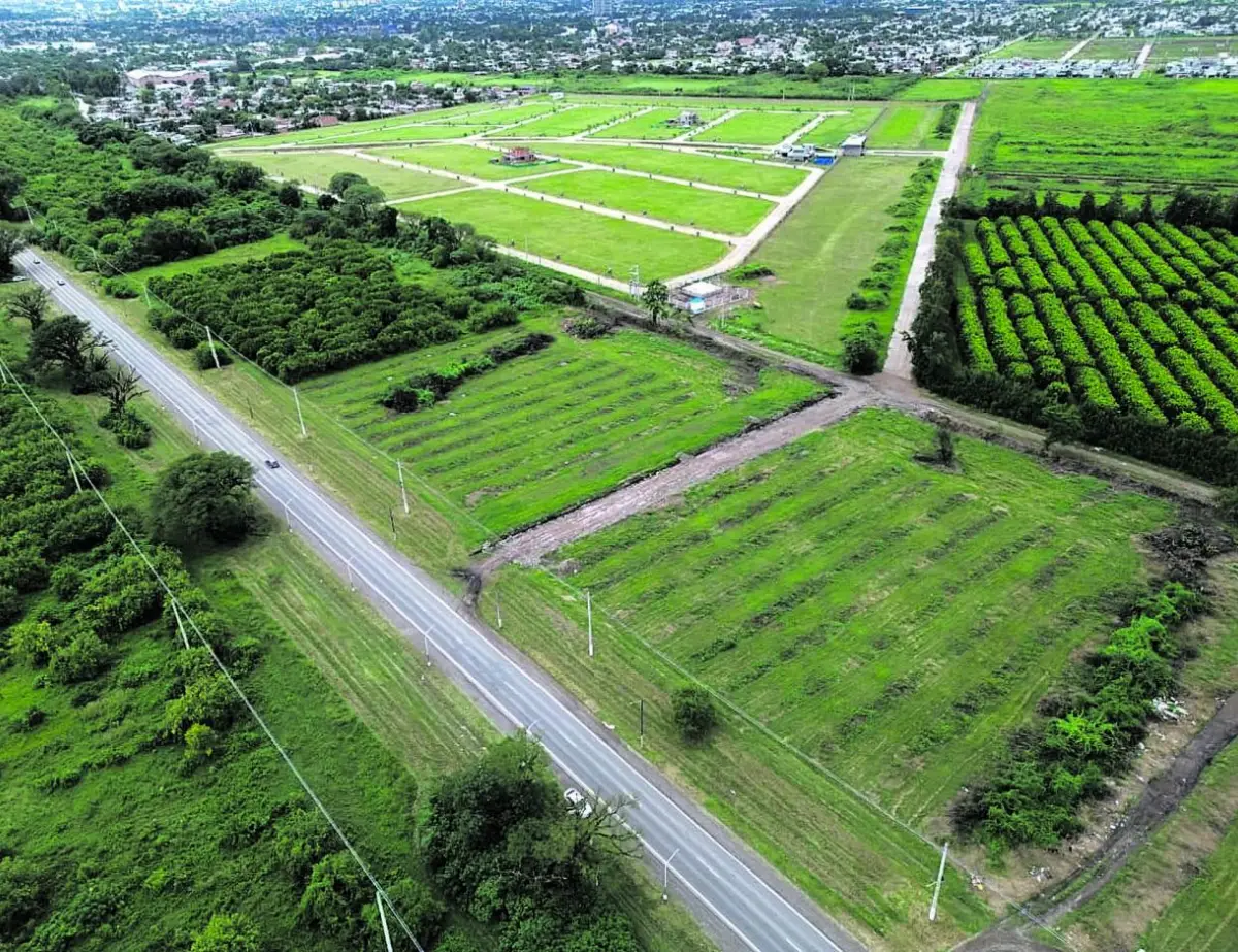 La conexión Fanzolato-Camino del Perú es clave para Yerba Buena