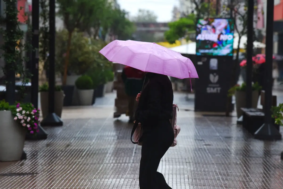 UNA PROTECCIÓN FUNDAMENTAL. La comercialización de paraguas aumenta en la temporada de tormentas, pero hay ventas durante todo el año.