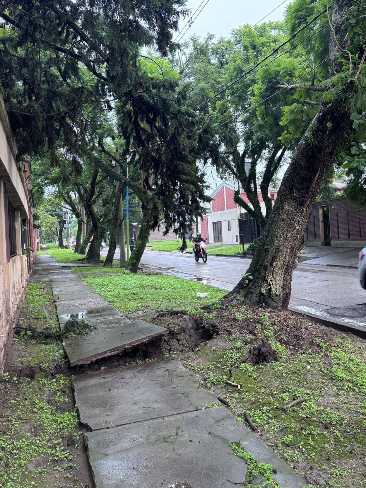 LA GACETA en WhatsApp: un trabajo sin terminar en San Martín al 1.400