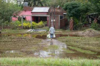 El costo de no cuidar los bosques y la regulación del agua. Ley no reglamentada