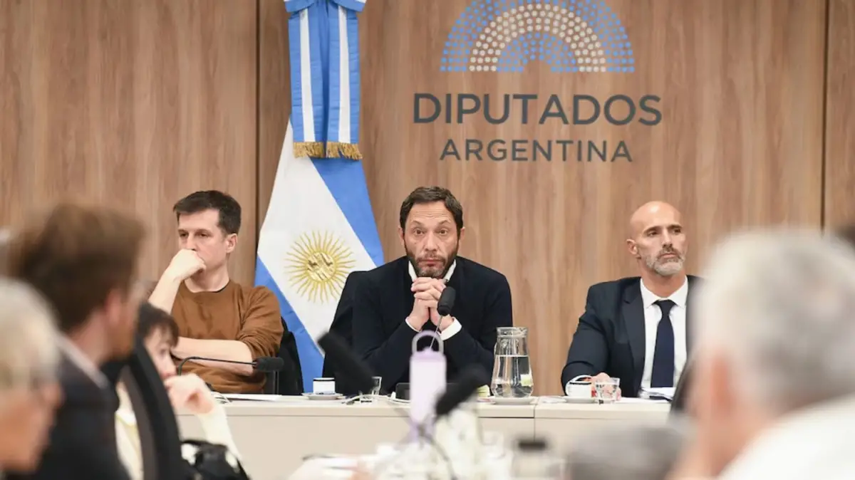 El diputado nacional Maximiliano Ferraro, presidente de la Comisión Investigadora.