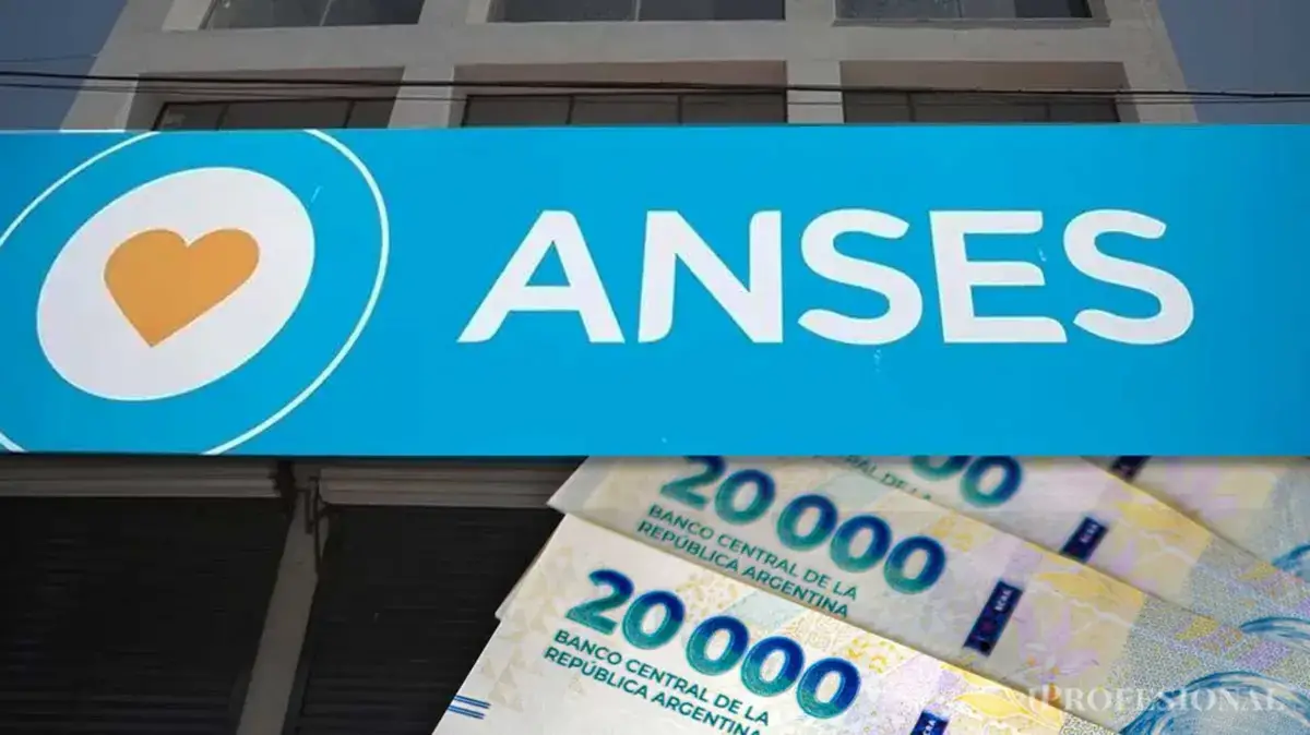 Anses: quiénes pueden cobrar el seguro de desempleo y cómo acceder paso a paso