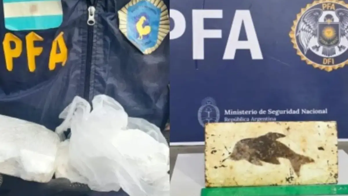 Cocaína con sello de delfín: así operaba la banda que abastecía a dealers en Santiago del Estero. FOTO EL LIBERAL