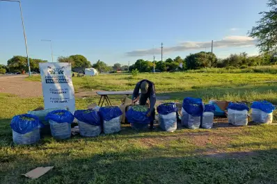 Interceptaron en Tucumán 222 kilos de hojas de coca enviados por encomienda hacia Buenos Aires