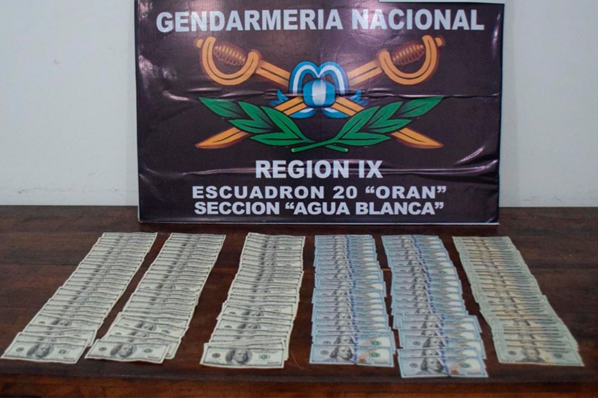 Contrabando de dólares: así cayó la pareja que llevaba dinero en fajas en la frontera