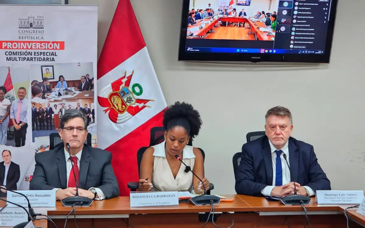 CONFLICTO. Los representantes por Tucumán exponiendo su defensa ante el congreso peruano.